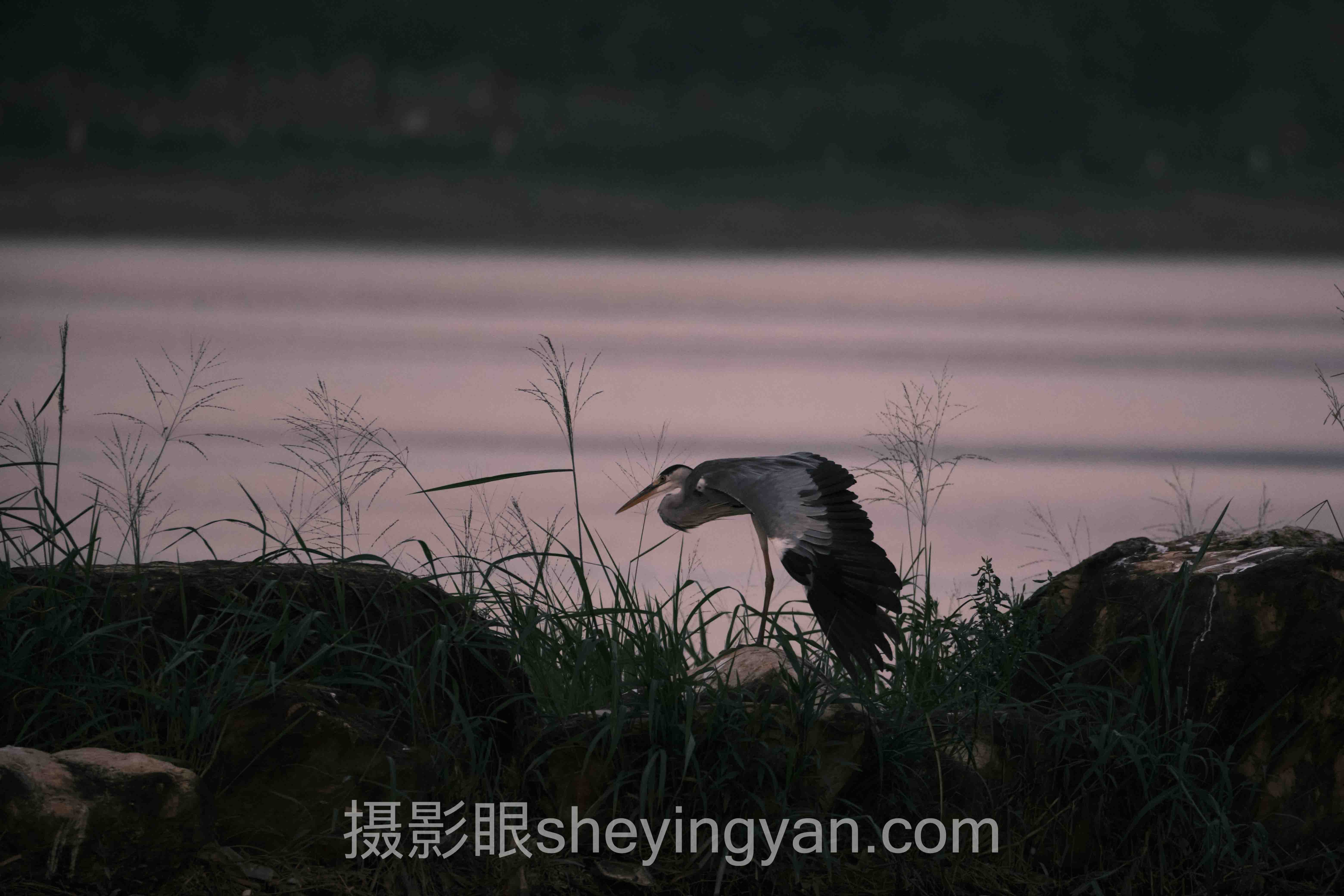 AI照片评分功能指南：从实拍看算法打分逻辑